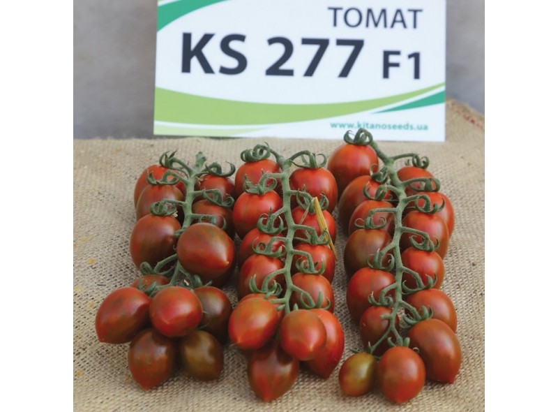Семена томата KS 277 F1 ( 100 семян), Kitano, индетерминантный